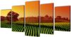 VIDAXL Canvas muurdruk set velden 200 x 100 cm online kopen
