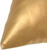 VIDAXL Sierkussenset 40x60 cm PU goud 2 delig online kopen